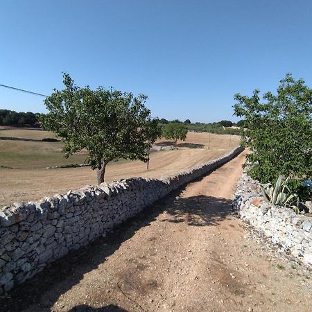 Masseria Catucci Agriturismo 阿尔贝罗贝洛 外观 照片