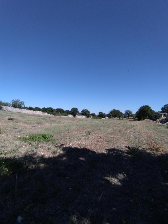 Masseria Catucci Agriturismo 阿尔贝罗贝洛 外观 照片