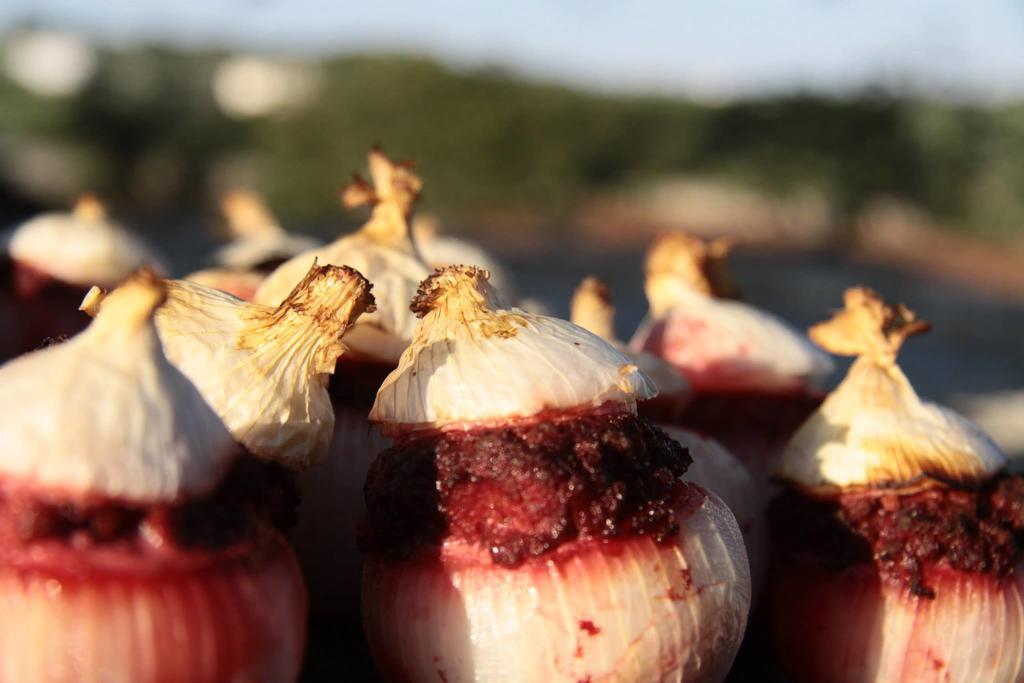 Masseria Catucci Agriturismo 阿尔贝罗贝洛 外观 照片